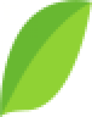 leaf-lee.png