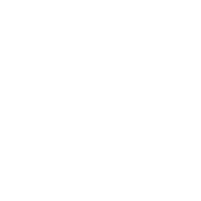 xingxing_lizi.png