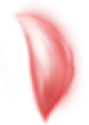 petal_1.png