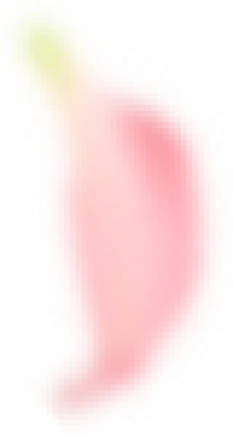 petal_2.png