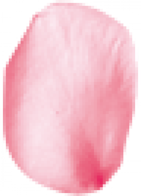 huabanban02.png