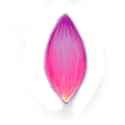 th01.png