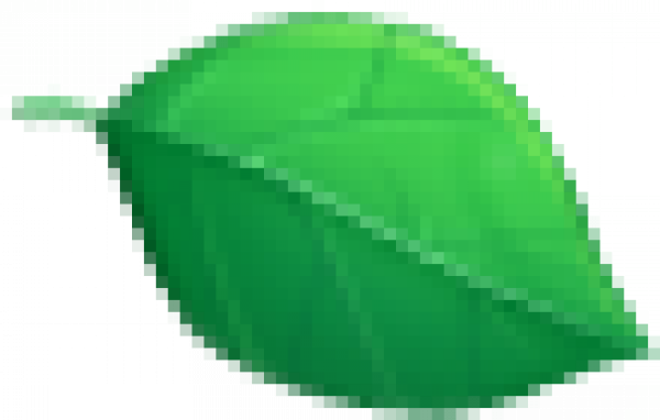 tx_yez.png