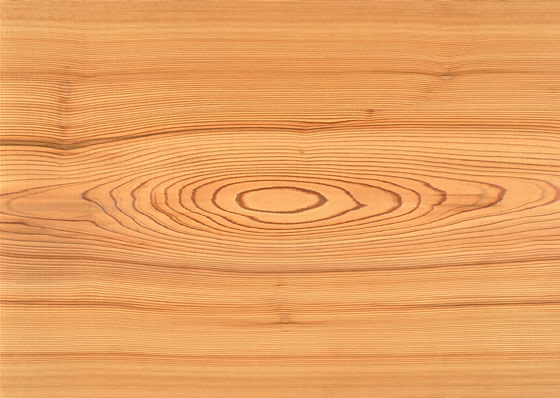 Wood Texture