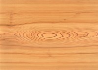 Wood Texture