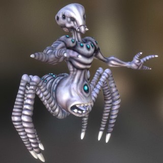 arachnoid
