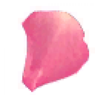 huaban_1_1_00.png