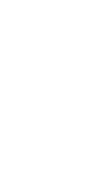 21234.png