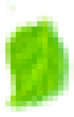 yezi.png