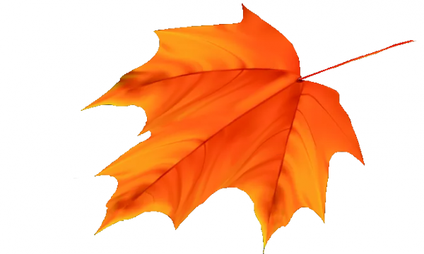 leaf.png