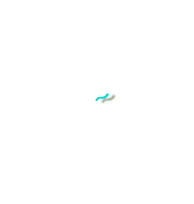 caidai.png