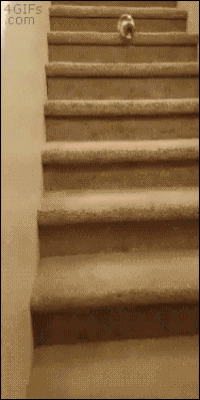 006IPa7Pgy1fmsafujnalg305k0b6b2a.gif