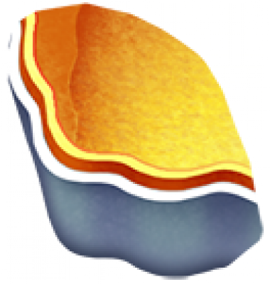 1.png