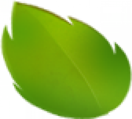 mixed_color_leaf.png