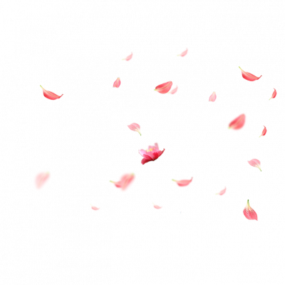 1be03b8463ffa4fa5f0ba686720487fa8e970d1480eb5-2yoCid_fw658.png