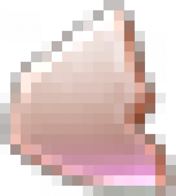 tx_nc_dk.png