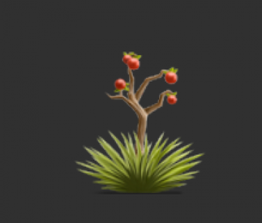 desert bush berry 2