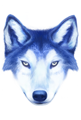 i_wild.png