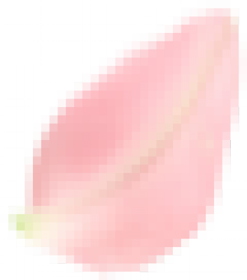 particle_texture (1).png