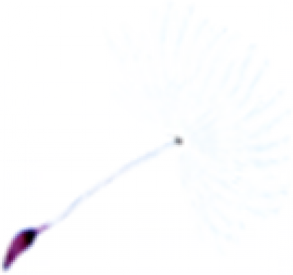 particle_texture.png