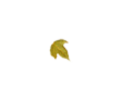 particle_texture (2).png