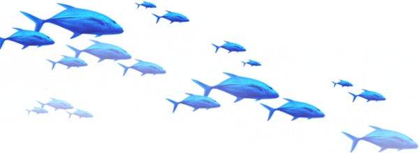 blue_fish.png