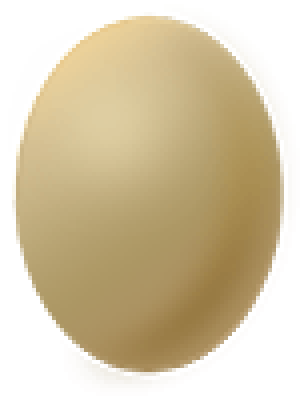 Egg.png