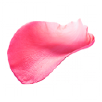 huaban.png