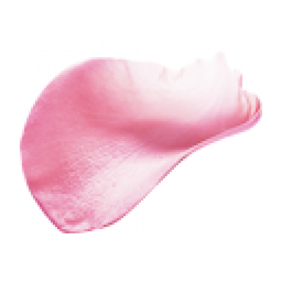 huaban2.png