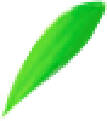 leaf.png