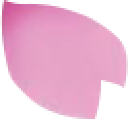 1111.png