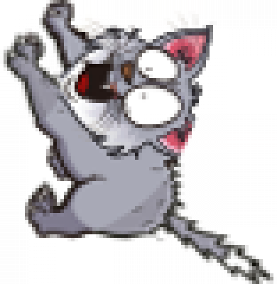 cat.png