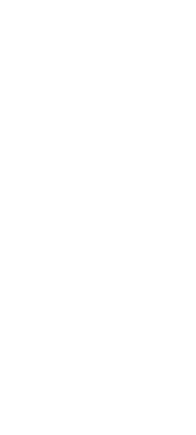 Ring.png