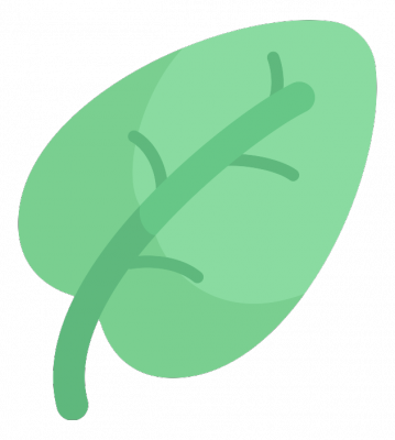leaf_631px_1209928_easyicon.net.png