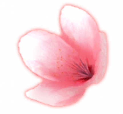 f2.png