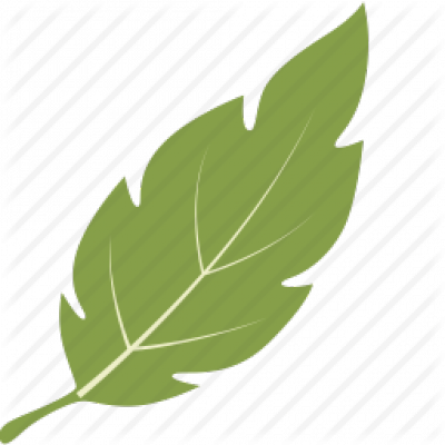 leaf-leaves-green-nature-tree-nature-Tropical-----------256.png