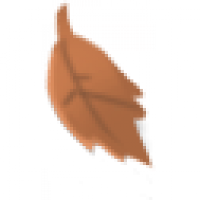 56454.png