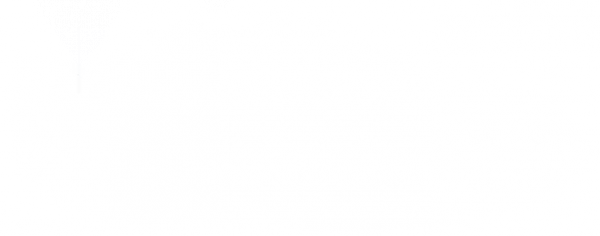 云2.png