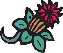 TP0951.eps
