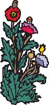 TP0967.eps