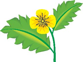 TP1135.eps