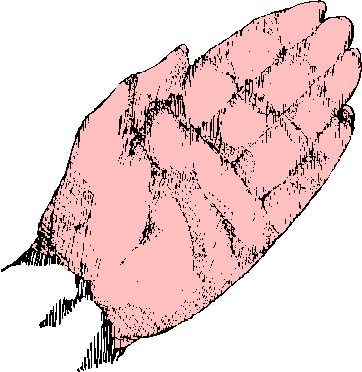 0724.eps