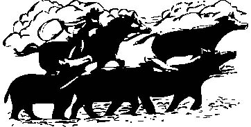 1504.eps