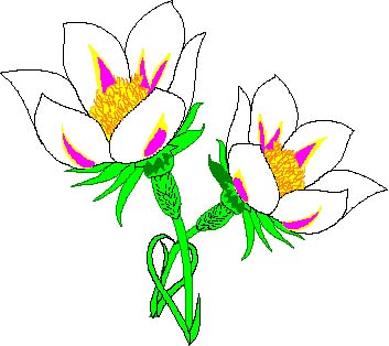0989.eps