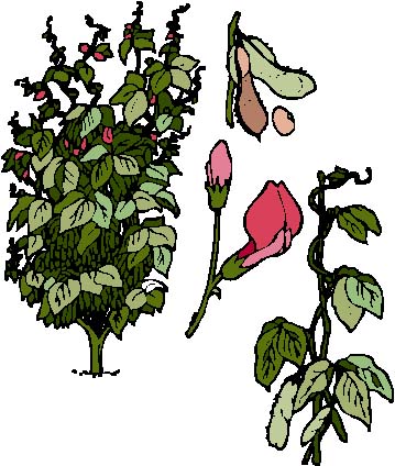 0560.eps