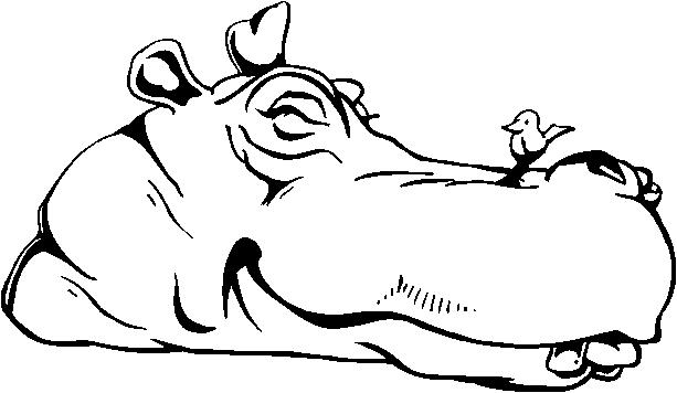 0253.wmf