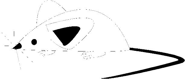 0776.wmf