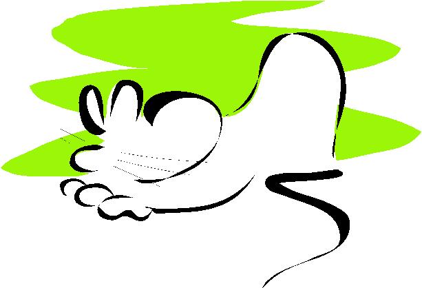 0855.wmf