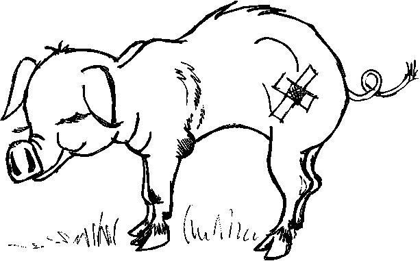 1169.wmf