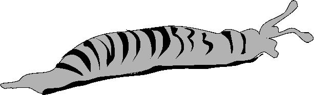 0202.wmf